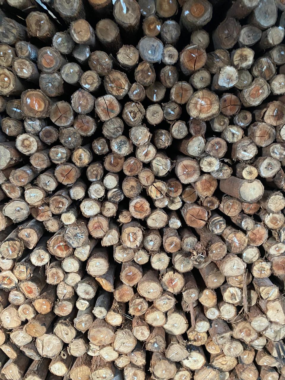 Detalhe das estroncas de eucalipto disponíveis na TS Madeiras